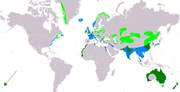 Aire de répartition du Grand Cormoran