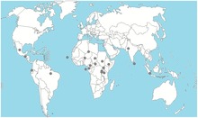 Mapa de la podoconiosis