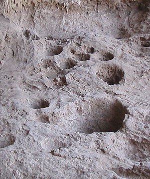 Mortiers creusés dans le sol rocheux, Raqefet, site natoufien (Israël)