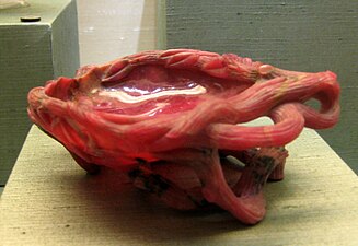 Vase en rhodonite (vers 1890), Taillerie de Peterhof, Musée minéralogique A. E. Fersman, Moscou