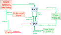 Rice-fish system