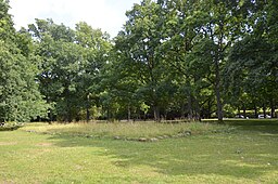 Markeringar med stenar i marken i Sankt Jörgens park, som visar kyrkans läge och storlek