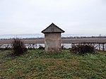 Winter-Linde und Sommer-Linde beim Schloss Pichlern