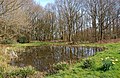 The village pond