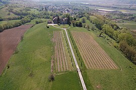 Vue aérienne des vignes et du château Bayard.