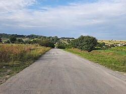 Village in Ternopil Oblast, Ukraine, where we can see a road, with grass and some trees surrounding it.