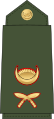 Lieutenant Nepali: उपसेनानी, romanized: Upasēnānī (Nepali Army)[58]
