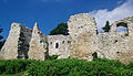 Ruins of the castle Bydlin