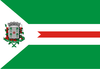 Flag of Santa Cruz das Palmeiras