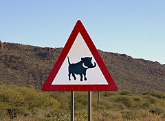 Beware of warthog