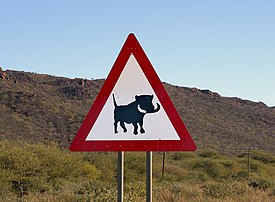 Attention aux phacochères ! Panneau de signalisation routière situé le long d'une route de Namibie. (définition réelle 1 995 × 1 467)