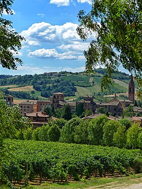 Castelvetro di Modena