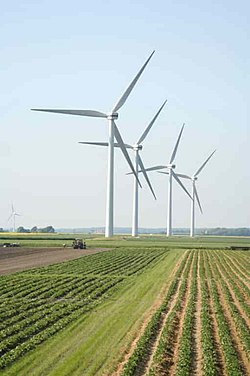 A wind farm in the Desmerciereskoog polder