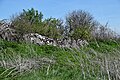 Dolmen de Saint-Antonin