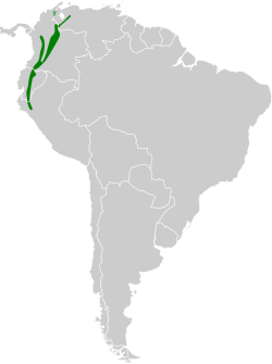 Distribución geográfica de la tangara pechifulva norteña (excluyendo carrikeri y stictocephala).