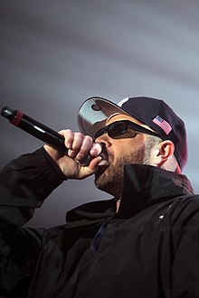 Danny Boy at the Eurockéennes in 2011