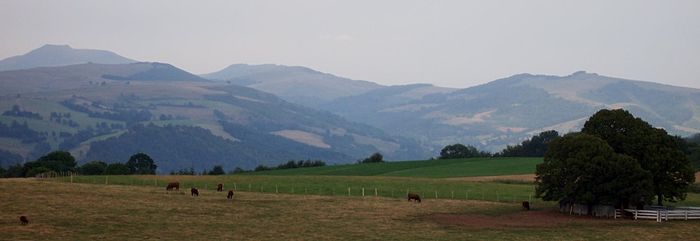 Vue panoramique depuis le plateau de Saint-Cernin avec les montagnes du col de Légal à droite et au centre et le puy Chavaroche à gauche. En contrebas, une ligne courbe longeant le piémont allant de gauche à droite, faite de bouquets d'arbres peu touffus mais qui le sont plus à droite de la photo. Cette ligne enserre une étendue plane et vaste de terres plus rousses où pâturent quelques bêtes et d'autres plus vertes.