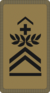 OR-7b - Sergent-major chef