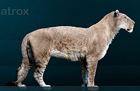 Panthera atrox