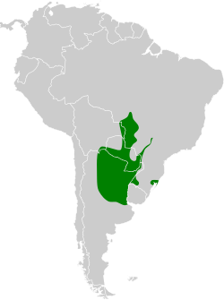 Distribución geográfica de la cardenilla piquigualda.