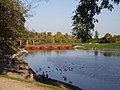 Pontoon bridge on the river Korana