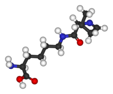 Image illustrative de l’article Pyrrolysine