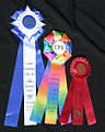 Award ribbons with rosettes