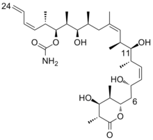 (+)-Discodermolide