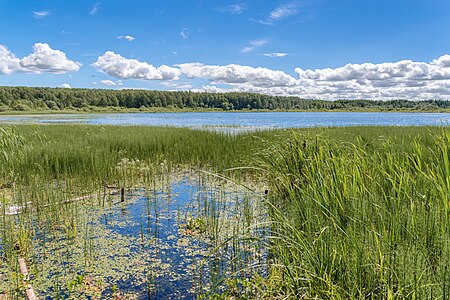 Озеро Тарасово к югу от села