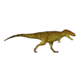 Tarbosaurus