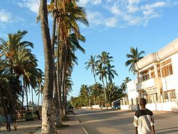 An avenue, visible palm trees on the left and a paved street