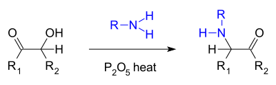 Voigt amination