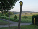 Waldschlösschenwiese im Juni 2003 (Blickrich­tung Blaues Wunder)