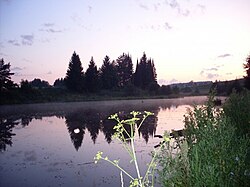 A pond in the village of Kolyushevo in Zavyalovsky District