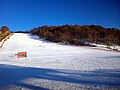 2014年1月7日 (火) 16:23時点における版のサムネイル