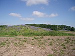 Bowl barrow 300 m north east of Whitnell Corner