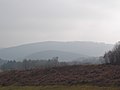 Paysage sur la commune de Châtelus-le-Marcheix