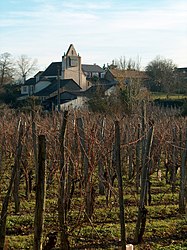 The church of Saint-Faust and a vineyard