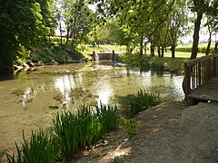 La source de la Somme en 2011.