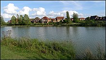 an image of the lake with water-margin plants in the foreground, houses in the background