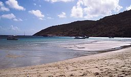 Strand på Lizard island