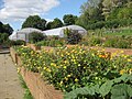 Raised flower beds and growing tunnels