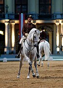 Deux hommes en uniforme marrons sur des chevaux blancs, l'un est face à la caméra, l'autre de dos et flou