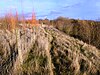 Main Quarry, Mountsorrel