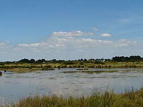 Image illustrative de l’article Marais de Lasné