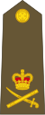 Lieutenant-general