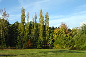 Image illustrative de l’article Parc botanique de Launay