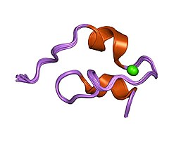 Structure of a prototype LNR module from human notch1.[1]