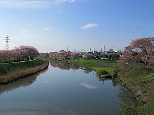 さいたま市を流れる鴨川。堀の内橋から（2012年4月）