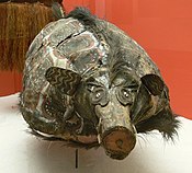 Ritual pig mask, Sepik region, Papua New Guinea. Rattan, palm leaf sheaths, and cassowary feathers. Collected 1914